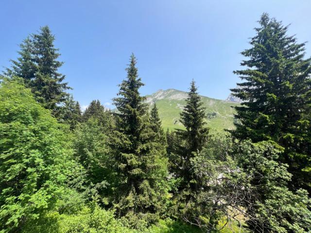 Appartement Manigod/La Clusaz Εξωτερικό φωτογραφία